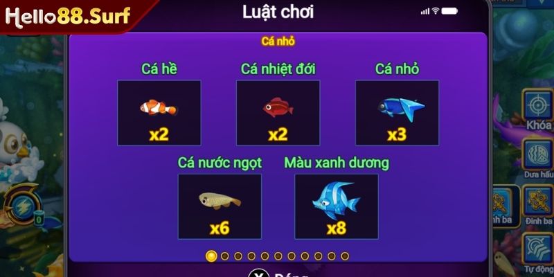 Luật chơi câu cá thư giãn